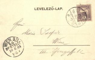 1902 Nagykanizsa, Hetivásári jelenet, piac árusokkal. Kiadja Alt & Böhm