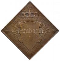 Osztrák-Magyar Monarchia 1916. "Habsburg Ottó trónörökös" Br csegely emlékérem. "FRAN...