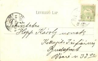 1905 Nagykáta, Városháza, hintó. Faragó Lajos kiadása