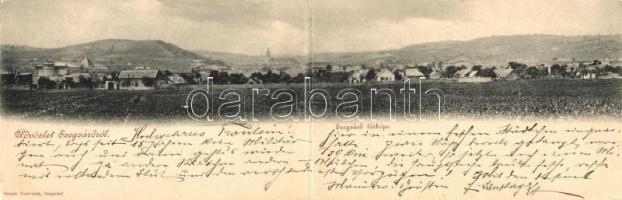1901 Szekszárd, Panorámalap a zsinagógával. Straub testvérek kiadása / panoramacard