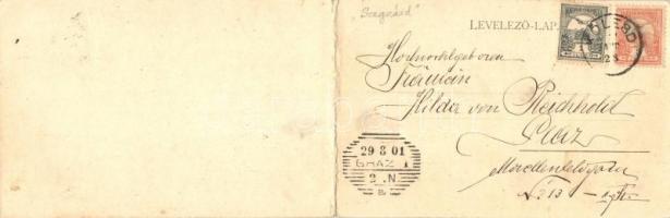 1901 Szekszárd, Panorámalap a zsinagógával. Straub testvérek kiadása / panoramacard