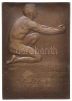 Németország DN "Immanuel Kant" Br plakett  peremen "C. POELLATH" gyártói jelzéss...