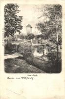 Szászsebes, Mühlbach, Sebes; Városliget / Stadt-Park / city park (EB)