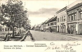 Szászsebes, Mühlbach, Sebes; Siculorum utca, gyógyszertár / Siculorumgasse / street, pharmacy