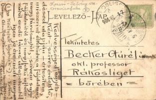 Oravica Malom tér és Fő utca, csiklovai sörcsarnok, kiadja Weisz Félix / Mill square and Main street...