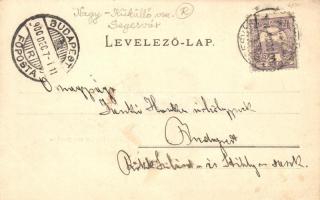 Segesvár, Schässburg; von der Stila / Steilau aus gesehen, Verlag von H. G. Roth