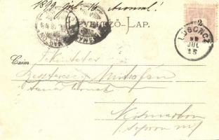 1899 Zsigmondháza, Vágzsigmondháza; Vág-völgye, Balassa-kastély, Gansel Lipót kiadása / castle (EK)