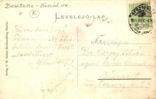 Beszterce, Bistritz; Vásártér, Kollmann & Keresztes üzlet, C. W. Knopp Bazar / market place, sho...