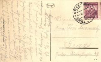 Teplice, Teplitz-Schönau; Totale ab Schönauer Kirche / view with synagogue