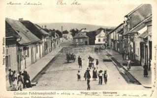 Fehértemplom, Weisskirchen; Bäcker utca / Bäckergasse, Verlag von Gustav Wunder / street