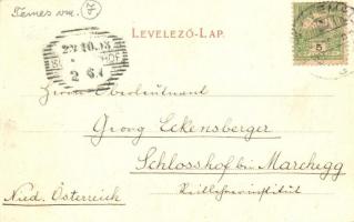 Fehértemplom, Weisskirchen; Bäcker utca / Bäckergasse, Verlag von Gustav Wunder / street