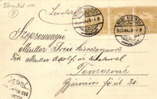 Nagykikinda, Utcakép Joanovits, Bogdan és Hollinger kereskedései; Wolf Józsefné kiadása / street wit...