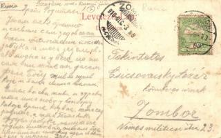 Ruma, Társaság pónilovakkal  / group with ponies