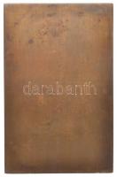 1942. " 'Hazatérés' vivóünnepély Szabadka városa, 1942.I.25." Br plakett (85x55m...