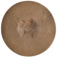 Szendrői Zoltán 1970. "Vásárhelyi István Emlékérem 1889-1968" egyoldalas Br emlékérem (100...