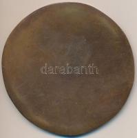 Osváth Mária (1921-) 1987. "Gerlóczy Gedeon 1895-1975" egyoldalas Br plakett (90,5mm) T:2