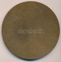 Kisfaludi Stróbl Zsigmond (1884-1975) 1925. "Grósz Emil" egyoldalas Br. plakett "AEMI...