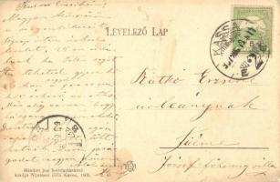 1906 Kassa, Abaúj-Torna vármegye népies lovas bandériuma II. Rákóczi Ferenc és bujdosó társai hamvai...