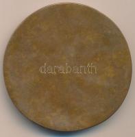 Solymári Valkó László (1909-1984) 1982. "Nyirsy Ferencné" egyoldalas Br plakett (74mm) T:2