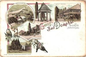 Dombhátfürdő, Anies (Domphát); Gyógyfürdő, forrás, kiadja O. Raupenstrauch / spa, well, litho (fl)