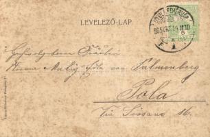 1905 Ex-Lex. A nagyemberek, a Magyar színház revü előadása / Hungarian revue performance