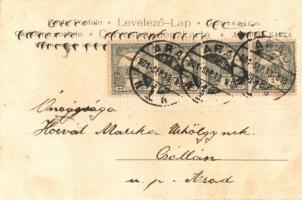 Magyar cigányzenész / Hungarian gypsy fidlar, litho