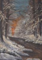Reinprecht jelzéssel: Téli erdő, olaj, vászon, antik sérült fakeretben, 50x68 cm