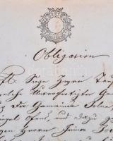 1854 Teljes tolnai okmány 5G szignettával / Document from Tolna with 5G signet