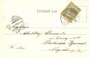 Aranyosmarót, Zlate Moravce; Erzsébet tér, takarékpénztér, megyeház, törvényszék, Eisenberg Károly ü...