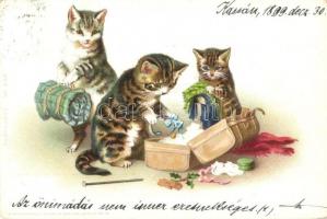 1899 Cats, art postcard, Kunstanstalt Wilhelm Boehme No. 258. litho (EK)