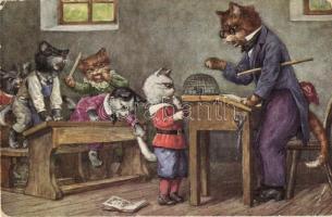 Cat in the school, humorous art postcard, Raphael Tuck & Sons Oilette Life in Catland No. 3435 (EK)