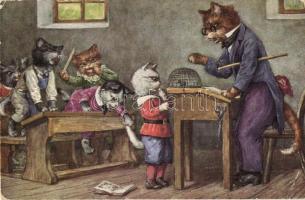 Cat in the school, humorous art postcard, Raphael Tuck & Sons 'Oilette' Life in Catland No. 3435 (EK)