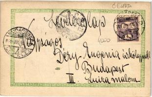 1901 Budapest III. Óbuda, Hattyú gőzös, photo