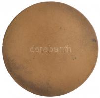 Kisfaludi Stróbl Zsigmond (1884-1975) 1925. "Grósz Emil" egyoldalas Br plakett. "AEMI...