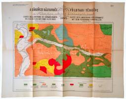 1895 Gesell Sándor: A körmöczi bányavidék földtani viszonyai bányaigeologiai szempontból, a Nándor altáró kitüntetésével mérete: 93x71 cm. Jó állapotban.