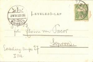 Szenice, Szenicz;  Látkép, 119. Wiesner Alfréd kiadása / street