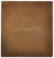 Murányi Gyula (1881-1920) 1909. "Báró Fejérváry Géza" Br plakett dobozban (71,22g/55x51mm)...