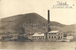 1925 Tokod, Erzsébet akna, bányász épületek, photo