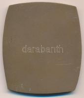 ~1979. "Magyar Bélyeggyűjtők Országos Szövetsége Budapest" Br plakett eredeti tokban (55,5...