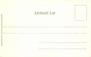 Dunavecse, Első Duna-vidéki gőzmalom; kiadja Wolff Arthur