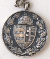 "Pro Deo et patria 1914-1918" feliratú ezüstözött medál lánccal, hátoldalán koronás kiscím...