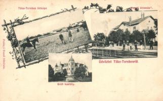 Tőketerebes, Trebisov; Vasútállomás, grófi kastély, látkép, kiadja Polányi Dezső / railway station, castle, general view, floral (fa)