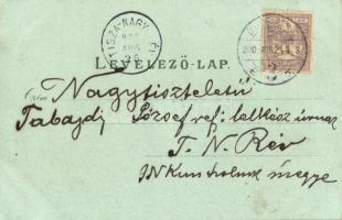 Budapest 'Gruss aus...' floral litho