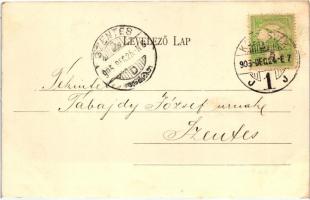 Kolozsvár, Cluj; Karolina országos kórház / hospital