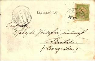 Tusnádfürdő, Mikes fürdő, kiadja Brunner Lajos / spa (EK)