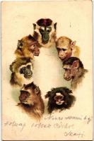Apes, monkeys, litho