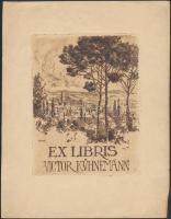 9 db különféle kisgrafika, részben alkalmi, vegyes technika, papír, nagyrészt jelzettek, különböző m...