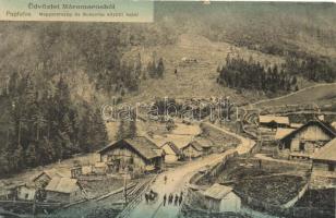 Papfalva, Magyarország és Bukovina között határ, fűrésztelep, kiadja Berger Miksa utóda / border between Hungary and Bukovina, lumber yard (kis szakadás / small tear)