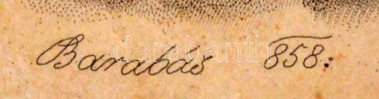 1858 Jókainé Széppataki Róza acélmetszetes portréja. Készítette Barabás Miklós. üvegezett keretben 2...