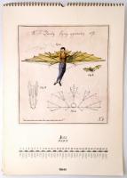 MALÉV hiányos falinaptár, csak júniustól decemberig meglévő lapokkal, szép illusztrációkkal, középen...